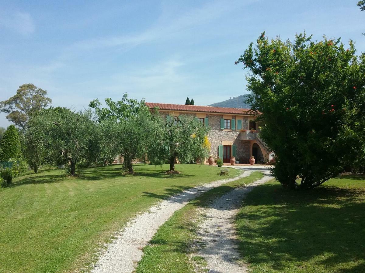 Monsummano TermeLocazione Turistica La Ginestra公寓 外观 照片